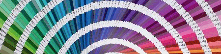 pantone swatch